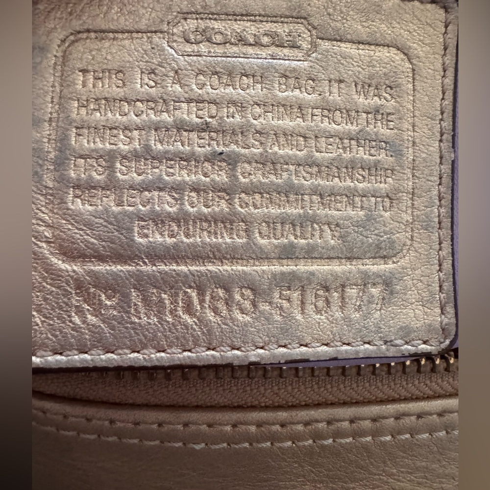Coach Ashley - Picture 2 of 16